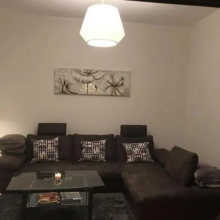 Vinea Comfortable 오지그